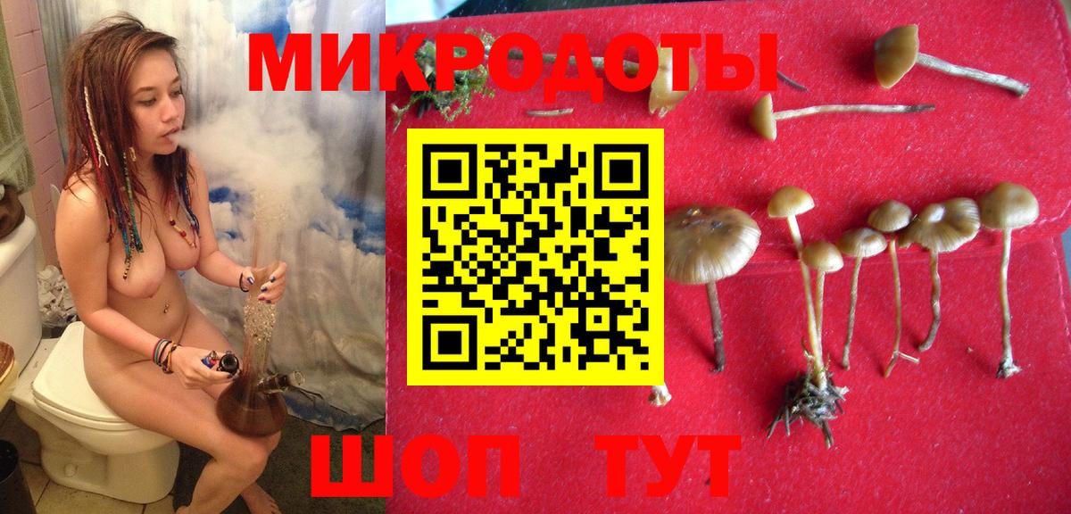 Азов  Галлюциногенные грибы прущие грибы  Галлюциногенные грибы GOLDEN TEACHER  Вход с VPN 