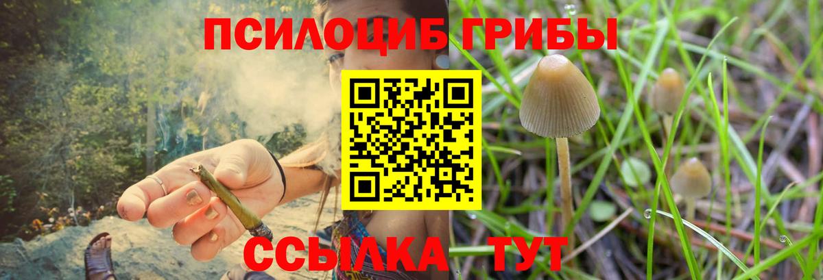 Галлюциногенные грибы мицелий Азов